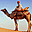 Hot Deserts Free Screensaver icon