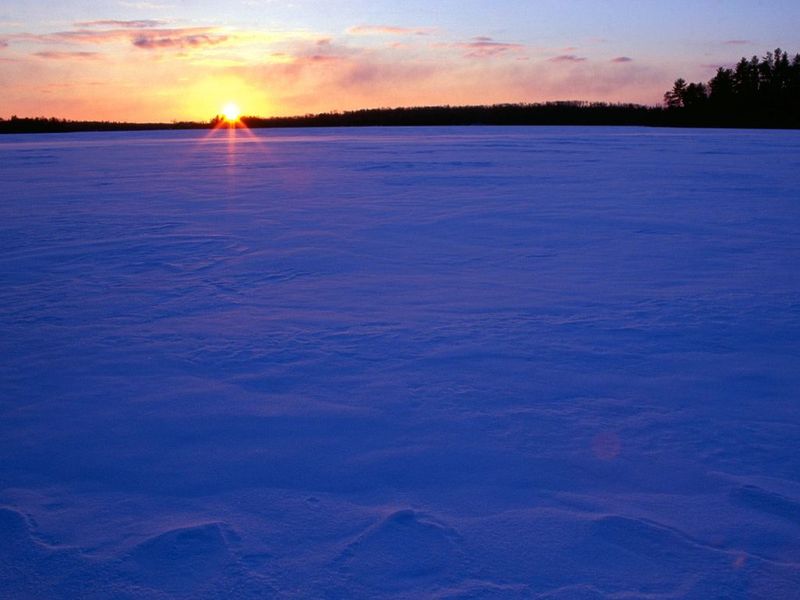 Winter Landscapes Free Screensaver Windows 11 download